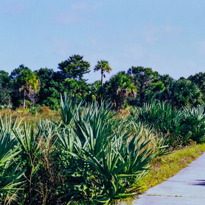 Boca Raton
