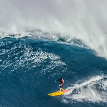 Surfing
